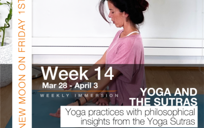 Immersion Week 14: Yoga and the sutras
