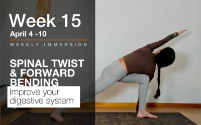 Immersion Week 15: Spinal Twist and Forward Bending
