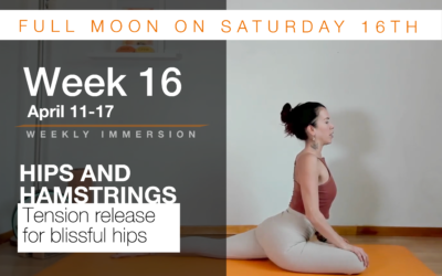 Immersion Week 16: Hips and Hamstrings