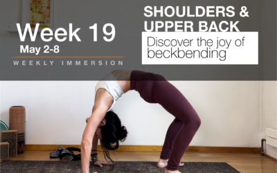 Immersion Week 19: Shoulders and upper back