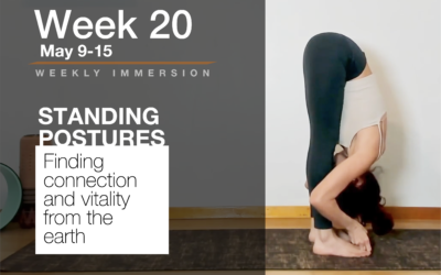 Immersion Week 20: Standing Postures