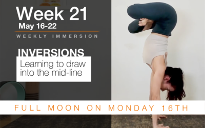 Immersion Week 21: Inversions