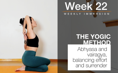 Immersion Week 22: The yogic method