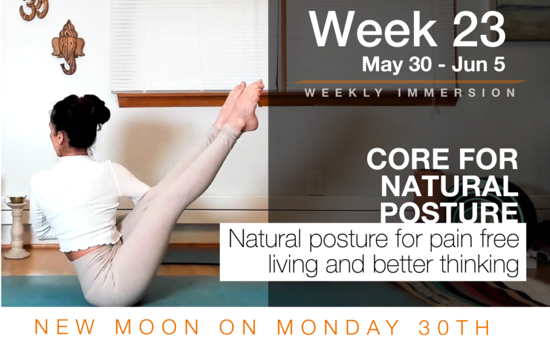Immersion week 23: Core for natural posture