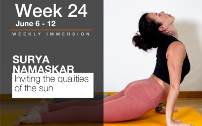 Immersion Week 24: Surya Namaskar